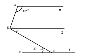 Đề thi học kì 1 Toán 7 - Đề số 9 - Chân trời sáng tạo 0 7