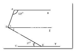 Đề thi học kì 1 Toán 7 - Đề số 9 - Chân trời sáng tạo 9