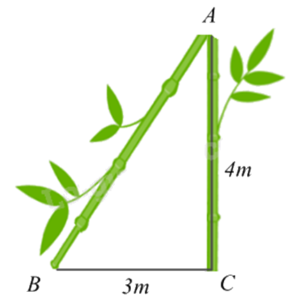 Đề thi học kì 1 Toán 8 Chân trời sáng tạo - Đề số 6 1 8