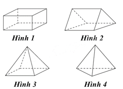 Đề thi học kì 1 Toán 8 Chân trời sáng tạo - Đề số 8 0 1