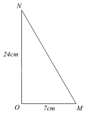 Đề thi học kì 1 Toán 8 Chân trời sáng tạo - Đề số 8 1 2