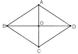 Đề thi học kì 1 Toán 8 - Đề số 2 - Cánh diều 1 4