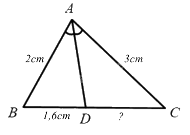 Đề thi học kì 1 Toán 8 Kết nối tri thức - Đề số 8 1 1