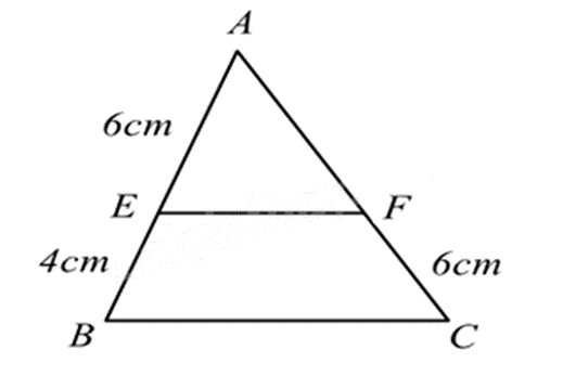 Đề thi học kì 1 Toán 8 Kết nối tri thức - Đề số 8 1 2