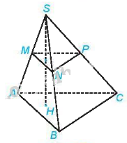 Đề thi học kì 2 Toán 11 Cánh diều - Đề số 1 1 3