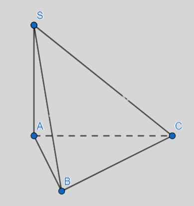 Đề thi học kì 2 Toán 11 Cánh diều - Đề số 2 0 2