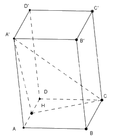 Đề thi học kì 2 Toán 11 - Đề số 5 1 6