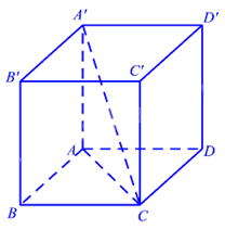 Đề thi học kì 2 Toán 11 - Đề số 7 1 1