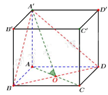 Đề thi học kì 2 Toán 11 - Đề số 7 1 3