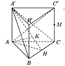 Đề thi học kì 2 Toán 11 - Đề số 7 1 4