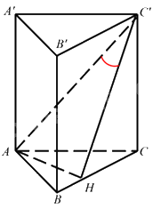 Đề thi học kì 2 Toán 11 - Đề số 8 1 8