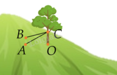 Đề thi học kì 2 Toán 12 Cánh diều - Đề số 4 1 2