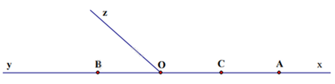 Đề thi học kì 2 Toán 6 - Đề số 13 - Chân trời sáng tạo 1 7
