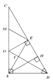Đề thi học kì 2 Toán 7 - Đề số 2 - Kết nối tri thức 1 4