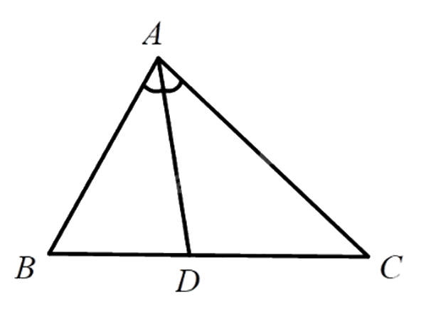 Đề thi học kì 2 Toán 8 Chân trời sáng tạo - Đề số 6 1 3