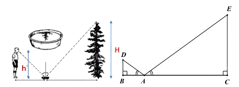 Đề thi học kì 2 Toán 8 Chân trời sáng tạo - Đề số 7 0 6