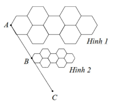 Đề thi học kì 2 Toán 8 Chân trời sáng tạo - Đề số 7 1 5