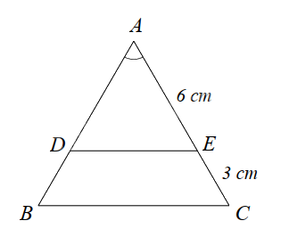 Đề thi học kì 2 Toán 8 - Đề số 1 - Cánh diều 1 1
