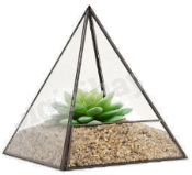 Đề thi học kì 2 Toán 8 - Đề số 2 - Kết nối tri thức 0 4