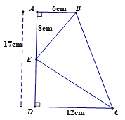 Đề thi học kì 2 Toán 8 - Đề số 5 - Chân trời sáng tạo 1 3