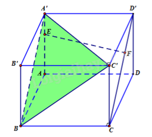 Đề thi thử THPT môn Toán lần 1 năm 2025 cụm các trường số 4 - Hải Dương 1 14
