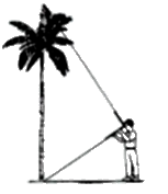 Đề thi vào 10 môn Toán Bắc Giang năm 2023 0 1