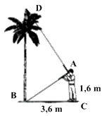 Đề thi vào 10 môn Toán Bắc Giang năm 2023 3