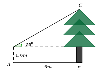 Đề thi vào 10 môn Toán Cần Thơ năm 2019 0 4