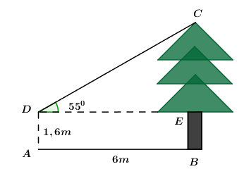 Đề thi vào 10 môn Toán Cần Thơ năm 2019 1 2