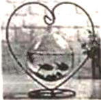 Đề thi vào 10 môn Toán Sóc Trăng năm 2023 1