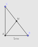 Đề thi vào 10 môn Toán Tuyên Quang năm 2019 0 7