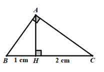 Đề thi vào 10 môn Toán Tuyên Quang năm 2021 15