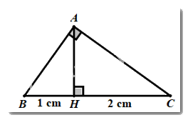 Đề thi vào 10 môn Toán Tuyên Quang năm 2021 9