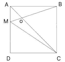 Đề thi vào lớp 6 môn Toán trường THCS Nam Từ Liêm năm 2024 3
