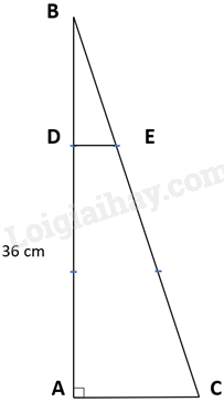 Đề thi vào lớp 6 trường THCS Hoàng Xuân Hãn năm 2021 0 2