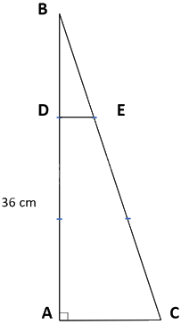 Đề thi vào lớp 6 trường THCS Hoàng Xuân Hãn năm 2021 2
