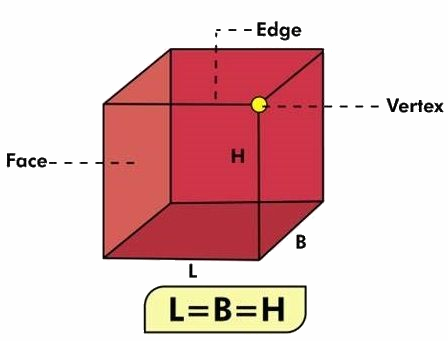 Diện tích xung quanh, diện tích toàn phần của hình lập phương - Toán 5 1