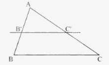 Định lí Thales trong tam giác 3