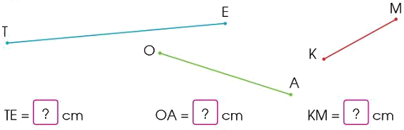 Đo độ dài đoạn thẳng, độ dài đường gấp khúc 1 1