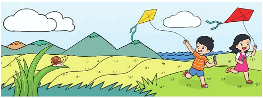 Đường thẳng, đường cong, đường gấp khúc 4