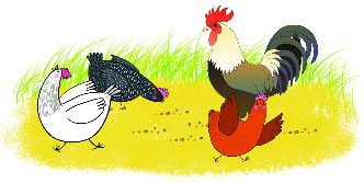 Em giải bài toán 3