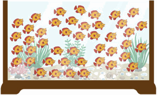 Em làm được những gì (trang 21) 8 1