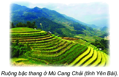 Em làm được những gì (trang 77, 78, 79, 80) 21