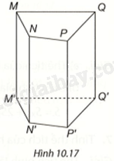 Giải bài 1 (10.17) trang 100 vở thực hành Toán 7 tập 2 1