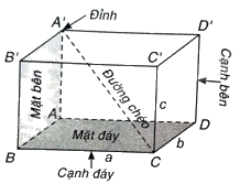 Giải bài 1 (10.7) trang 94 vở thực hành Toán 7 tập 2 3
