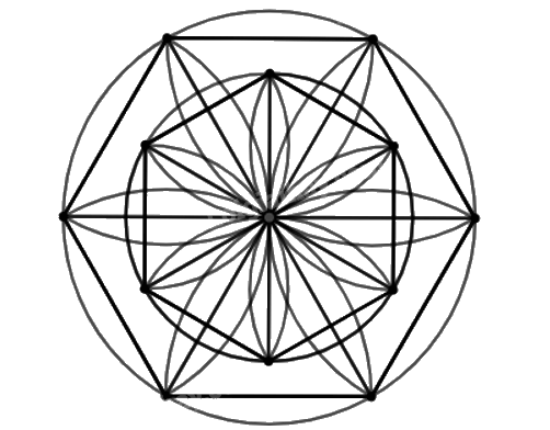 Giải bài 1.10 trang 15 Chuyên đề học tập Toán 11 Kết nối tri thức 3