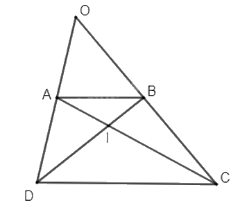 Giải bài 1.20 trang 29 Chuyên đề học tập Toán 11 Kết nối tri thức 2