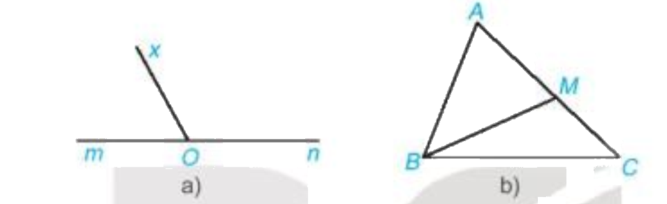 Giải bài 1 (3.1) trang 37 vở thực hành Toán 7 1