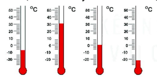 Giải bài 1 (3.1) trang 48 vở thực hành Toán 6 1