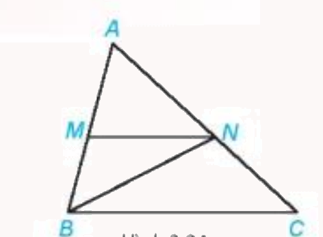 Giải bài 1 (3.6) trang 41 vở thực hành Toán 7 1